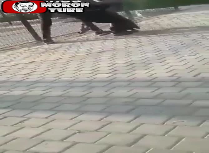 Video :He shouldn't have attacked the Doberman